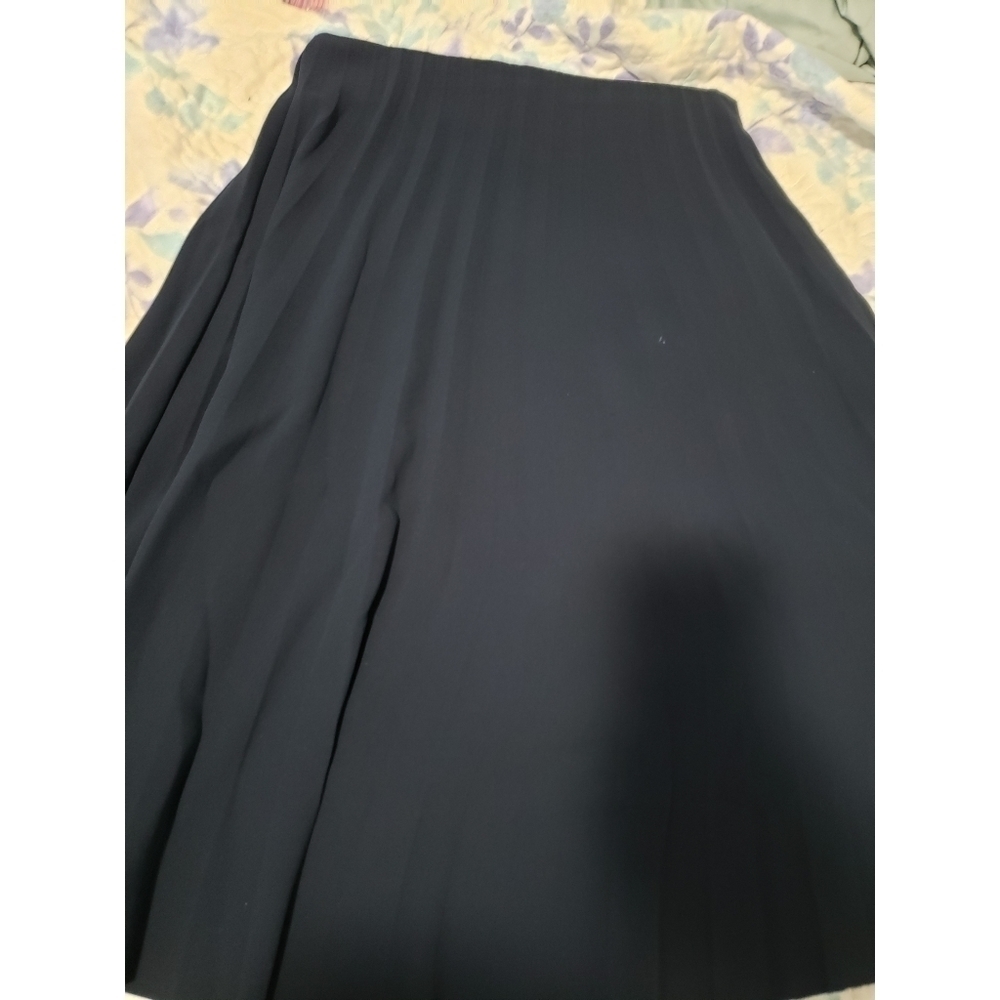 Everlane Navy Pleated skirt - Picture 8 of 10